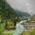Why Kasauli is Worth Investing In – A Nestling Woods Perspective